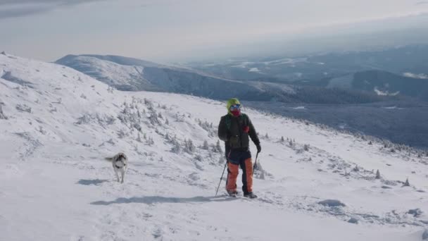Tiro Hombre Senderismo Las Montañas Nevadas Invierno Con Dos Perros — Vídeos de Stock