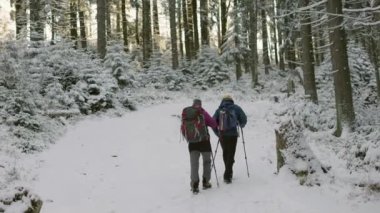 Karlı dağlarda gezen çiftler. Bir çift kış ormanında yürüyüş yapıyor.