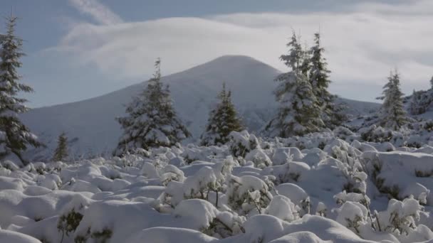 Hermoso Paisaje Invierno Montañas Cárpatos Cubiertas Nieve — Vídeos de Stock