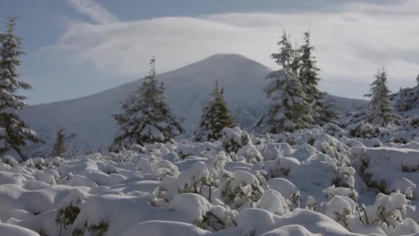 หนาวท สวยงาม เขา Carpathian มไปด วยห — วีดีโอสต็อก