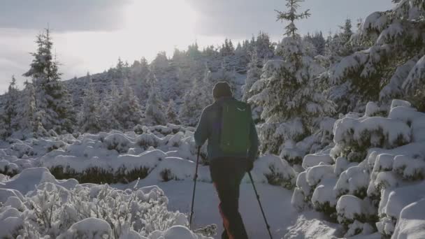 Slow Motion Skott Människan Vandring Snöiga Och Kalla Berg Vintersäsongen — Stockvideo