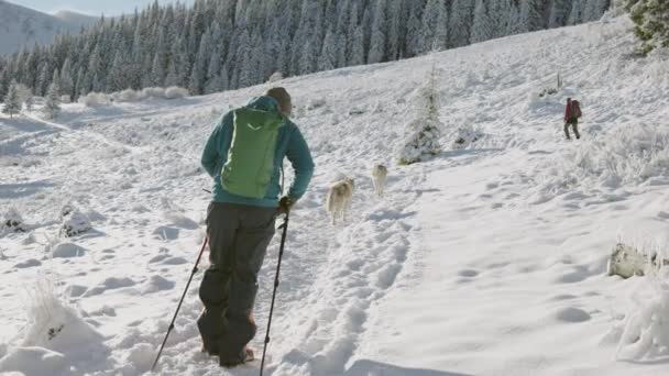 Tiro Homem Caminhando Montanhas Nevadas Inverno Com Dois Cães Husky — Vídeo de Stock