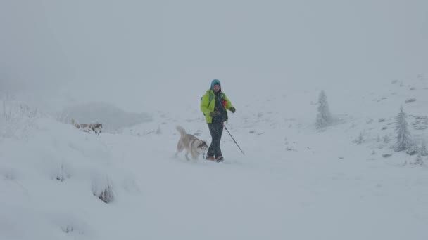 Tiro Hombre Senderismo Las Montañas Nevadas Invierno Con Dos Perros — Vídeos de Stock