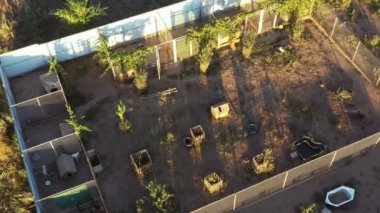 Açık deniz yüzme yarışmasının havadan 4 km 'lik çekimi. Yarışma sırasında açık denizde yüzen tanınmayan insanlar, yukarıdan bakıyorlar