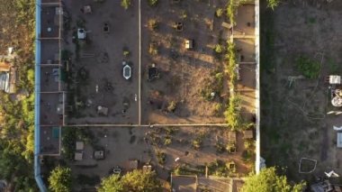 Yukarıdan köpek barınağının havadan 4K görüntüsü. Güzel ve dost canlısı köpekler evlat edinilmeyi bekliyor. Serseri hayvan konseptine yardım etmek.