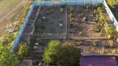 Yukarıdan köpek barınağının havadan 4K görüntüsü. Güzel ve dost canlısı köpekler evlat edinilmeyi bekliyor. Serseri hayvan konseptine yardım etmek.
