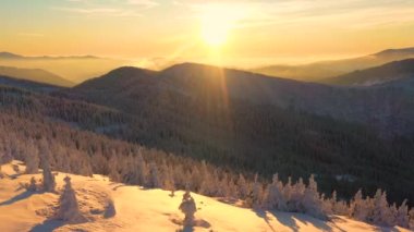 Gün batımında karlı Karpatya dağlarının güzel 4k görüntüsü. İnanılmaz Ukrayna doğası