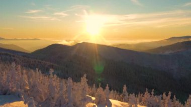 Gün batımında karlı Karpatya dağlarının güzel 4k görüntüsü. İnanılmaz Ukrayna doğası