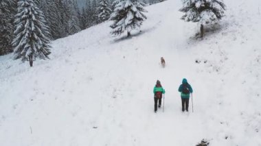 Mavi ceketli iki yürüyüşçünün Sibirya köpekleri ile karlı dağlarda yürüyüş yaparken 4k görüntüsü. Kışın köpeklerle yürüyüşe çıkan bir çift.