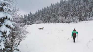 Mavi ceketli bir kadın karlı dağlarda doğa yürüyüşü yapıyor. Yürüyüşçü, güzel kış arka planına karşı. Etkin yaşam tarzı ve uzak yerlere seyahat kavramı
