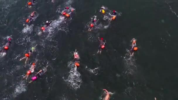 Aerial Tiro Competición Natación Aguas Abiertas Personas Irreconocibles Nadando Aguas — Vídeo de stock