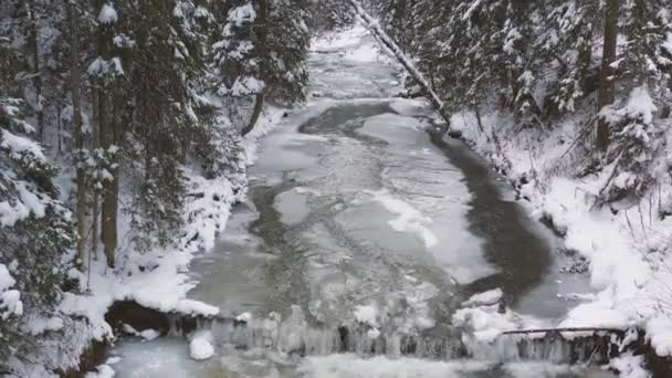 Aerea Colpo Bellissimo Fiume Drone Che Muove Sopra Fiume Ghiacciato — Video Stock