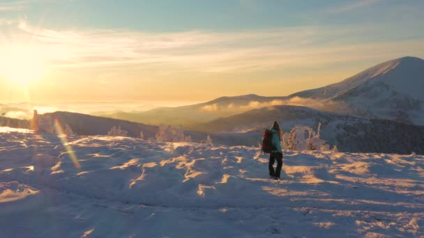 穿着蓝色夹克的女人在雪山野外徒步旅行 在美丽的冬山背景下远足 积极的生活方式和旅行偏远地区的概念 — 图库视频影像