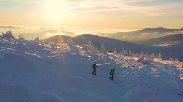 Luftaufnahmen Von Wanderern Die Sich Wunderschönen Schneebedeckten Bergen Paaren Reisen — Stockvideo