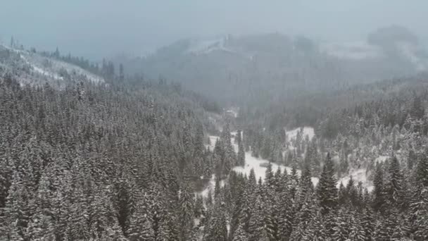 Аэрофотоснимок Красивого Зимнего Горного Ландшафта Беспилотник Движется Над Покрытым Снегом — стоковое видео