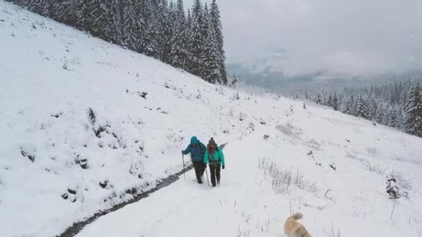 Luchtfoto Van Twee Wandelaars Met Blauwe Jassen Wandelend Besneeuwde Bergen — Stockvideo