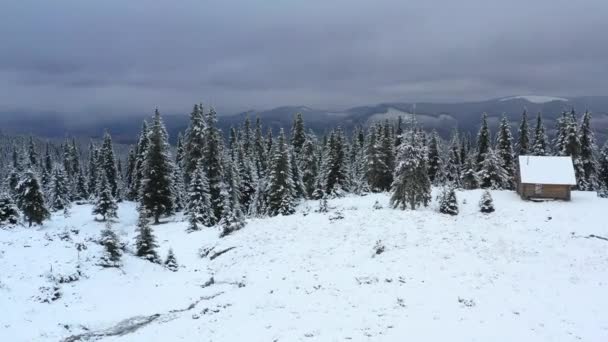 Luftaufnahme Der Wunderschönen Winterlichen Berglandschaft Drohne Bewegt Sich Über Dem — Stockvideo