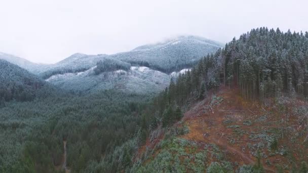 Tiro Aéreo Bela Paisagem Montanha Inverno Drone Movendo Acima Floresta — Vídeo de Stock