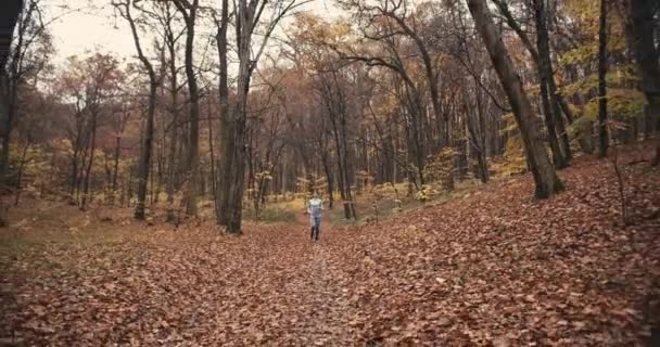 Молодая Спортсменка Бегает Осеннем Лесу Упражнения Открытом Воздухе Холодную Погоду — стоковое видео