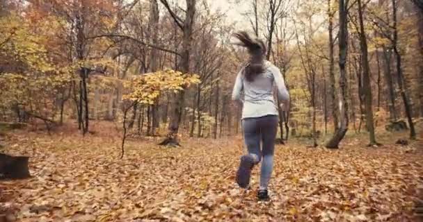 Jovem Mulher Esportiva Correndo Floresta Outono Exercício Livre Tempo Frio — Vídeo de Stock