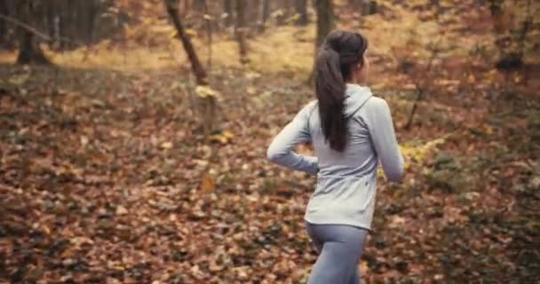 Медиум После Снимка Молодой Спортивной Женщины Бегущей Красивому Осеннему Лесу — стоковое видео