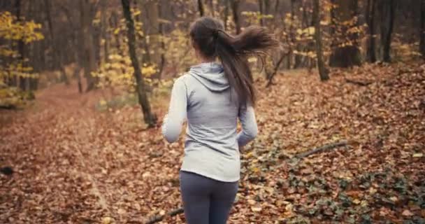 Joven Mujer Deportiva Corriendo Bosque Otoño Ejercicio Aire Libre Clima — Vídeos de Stock