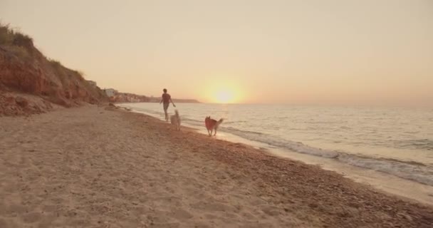Νεαρό Ζευγάρι Καυκάσια Περπάτημα Στην Παραλία Σιβηρίας Husky Σκυλιά Κατά — Αρχείο Βίντεο