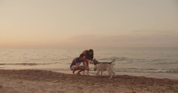 美しい夕日や日の出の間にシベリアのハスキー犬とビーチを歩く若い白人カップル 犬と遊ぶ ペットは家族の概念のメンバーです — ストック動画