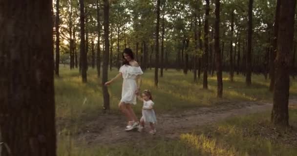 日落时与小女儿在公园玩耍的女人 — 图库视频影像