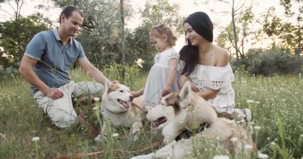 Família Brincando Divertindo Com Cães Husky Siberianos Pai Mãe Filha — Vídeo de Stock