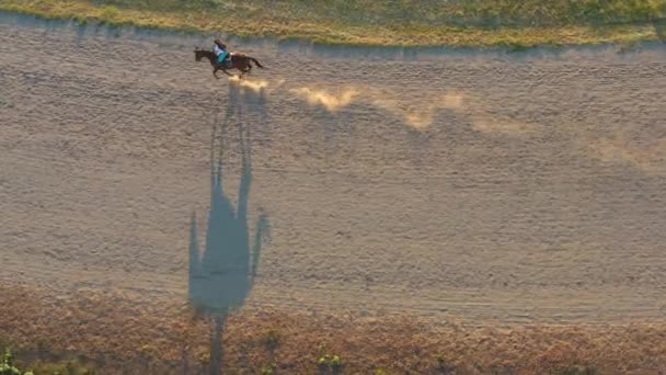 Młoda Gruzińska Kobieta Ujeżdżająca Konia Podczas Pięknego Zachodu Słońca Hipodromie — Wideo stockowe