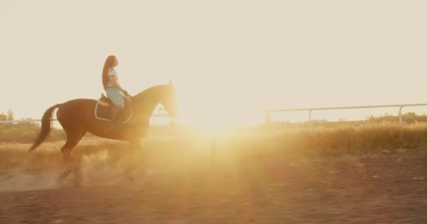 Joven Mujer Georgiana Montar Caballo Durante Hermoso Atardecer Hipódromo — Vídeos de Stock