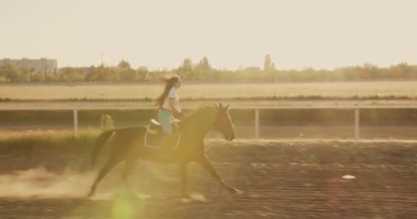 Młoda Gruzińska Kobieta Ujeżdżająca Konia Podczas Pięknego Zachodu Słońca Hipodromie — Wideo stockowe