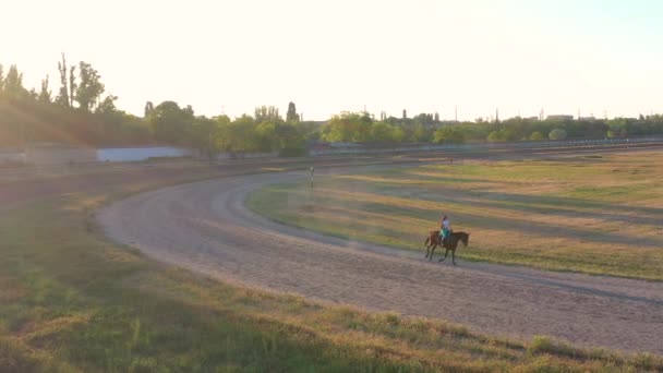 Mladá Gruzínská Žena Koni Během Krásného Západu Slunce Hippodromu — Stock video