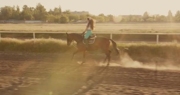 Ung Georgiansk Kvinna Ridning Häst Vacker Solnedgång Hippodromen — Stockvideo