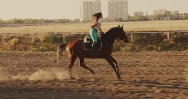 Jonge Georgische Vrouw Paardrijden Tijdens Prachtige Zonsondergang Hippodroom — Stockvideo