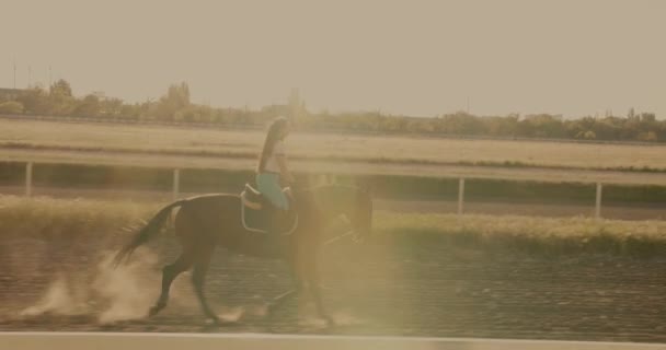 Jonge Georgische Vrouw Paardrijden Tijdens Prachtige Zonsondergang Hippodroom — Stockvideo
