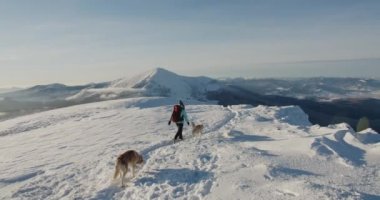 Mavi ceketli bir kadın karlı dağlarda doğa yürüyüşü yapıyor. Yürüyüşçü, güzel kış arka planına karşı. Etkin yaşam tarzı ve uzak yerlere seyahat kavramı