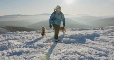 Mavi ceketli bir adam iki Sibirya köpeğiyle karlı dağlarda yürüyüş yapıyor. Köpekli bir yürüyüşçü, güzel bir kış arkaplanına karşı. Etkin yaşam tarzı ve uzak yerlere seyahat kavramı
