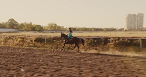 Wanita Muda Georgia Menunggang Kuda Saat Matahari Terbenam Yang Indah — Stok Video