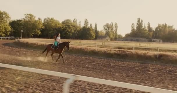 Jovem Georgiana Cavalgando Cavalo Durante Belo Pôr Sol Hipódromo — Vídeo de Stock