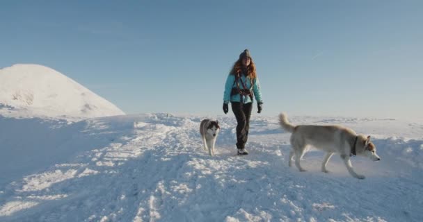 Kobieta Niebieskiej Kurtce Wędrująca Zaśnieżonych Górach Turysta Pięknym Zimowym Tle — Wideo stockowe