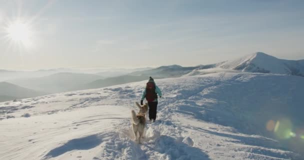 穿着蓝色夹克的女人在雪山野外徒步旅行 在美丽的冬山背景下远足 积极的生活方式和旅行偏远地区的概念 — 图库视频影像