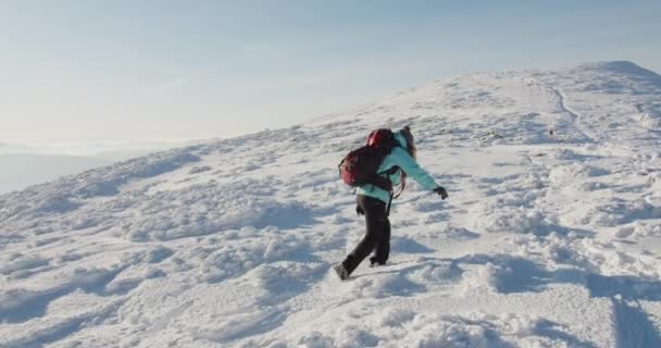 Mavi Ceketli Bir Kadın Karlı Dağlarda Doğa Yürüyüşü Yapıyor Yürüyüşçü — Stok video