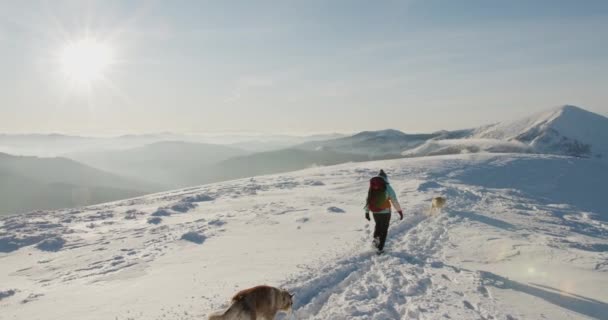 Vrouw Blauw Jasje Wandelend Buiten Besneeuwde Bergen Wandelaar Tegen Een — Stockvideo