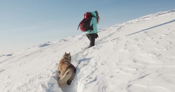 Kobieta Niebieskiej Kurtce Wędrująca Zaśnieżonych Górach Turysta Pięknym Zimowym Tle — Wideo stockowe