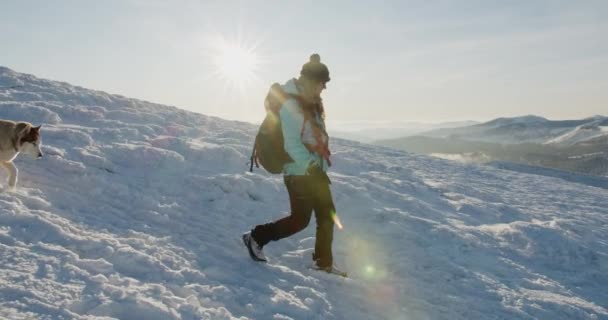 파란색 재킷을 베리아 허스키 마리와 눈덮인 산에서 밖으로 하이킹을 아름다운 — 비디오
