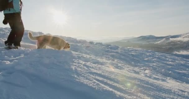 Жінка Блакитній Куртці Гуляє Відкритому Повітрі Засніжених Горах Ведучий Красивому — стокове відео