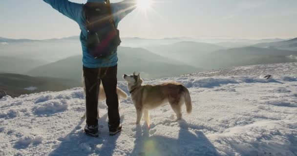 Mavi Ceketli Bir Adam Iki Sibirya Köpeğiyle Karlı Dağlarda Yürüyüş — Stok video