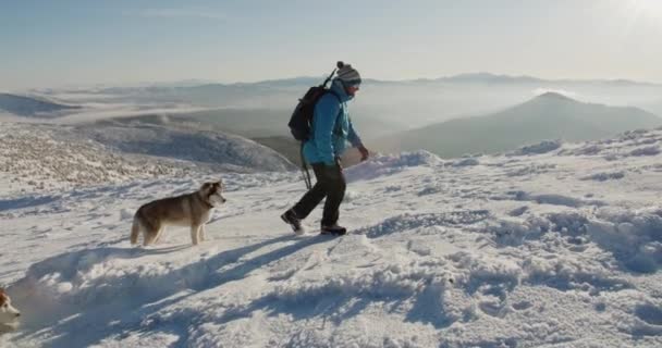 Man Blue Jacket Hiking Outdoors Snowy Mountains Two Siberian Husky — Stock Video